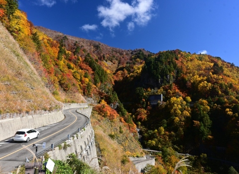 🍁Drive and hike  with Guide(English,French,Chinese) through Hakusan National Park🍁