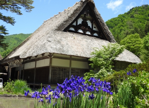 周辺都市より白川郷を訪れる日帰りバスのご案内