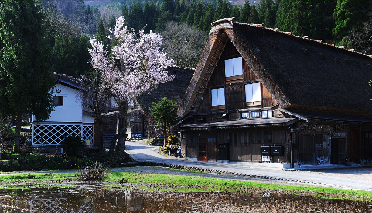  Shirakawa-go Tourist Association